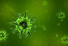 Information about the upcoming winter flu season virus