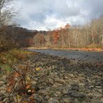 Acres added to Casselman River Conservation Area Casselman River