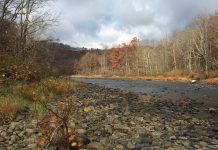 Acres added to Casselman River Conservation Area Casselman River