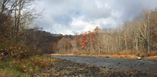 Acres added to Casselman River Conservation Area Casselman River