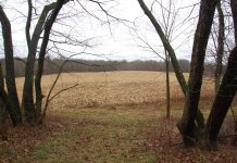 Elk Run Preserve created in Columbiana County Elk Run Preserve