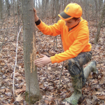 Numbers show Ohio a top deer hunting state hunting