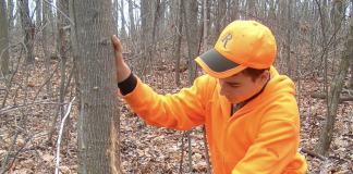 Numbers show Ohio a top deer hunting state hunting