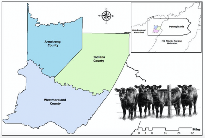 Western Pennsylvania livestock graphic Western Pennsylvania livestock graphic