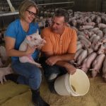 Pork, soybean and corn leaders craft joint research agreement pork producer