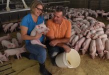 Pork, soybean and corn leaders craft joint research agreement pork producer