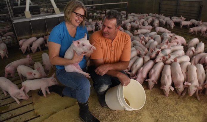 pork producer pork producer