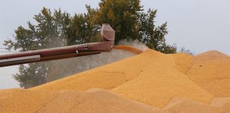 USDA taketh, USDA giveth back outdoor corn storage
