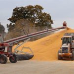 Grain markets running out of breath temporary corn storage