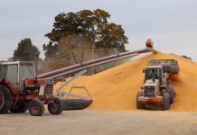 Bumper crop storage options temporary corn storage