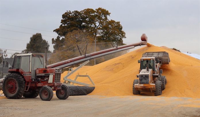 corn storage temporary corn storage