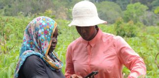 Penn State team gets $100,000 grant for satellite crop surveillance gates-foundation-penn-state