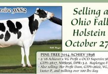 Steiner consignments top Ohio Holstein sale Ohio Holstein Sale
