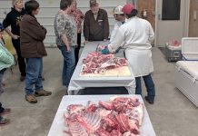 Ohio producers get carcass insight sheep school