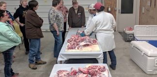 Ohio producers get carcass insight sheep school