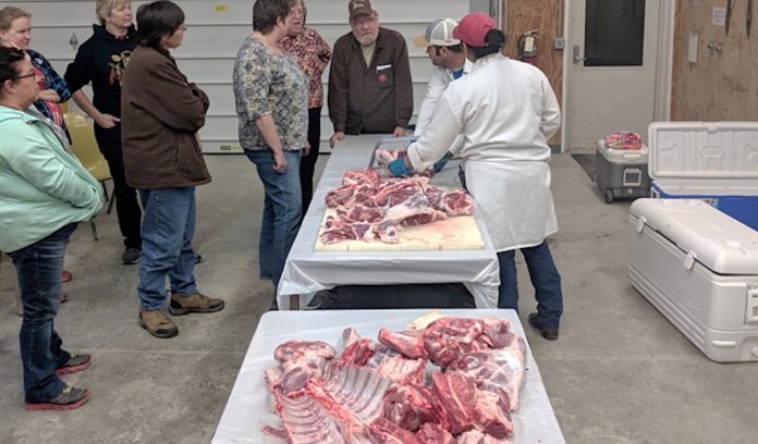 sheep school sheep school