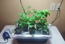 How to grow a tabletop hydroponics herb garden hydroponics garden