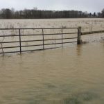 Ohio on track to have third wettest year flooded field