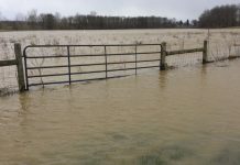 Ohio on track to have third wettest year flooded field
