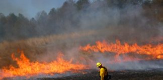 controlled burns