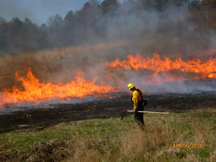 controlled burns