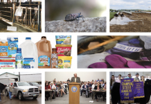 Farm and Dairy’s top 10 web stories in 2018 2018 top 10 web stories collage