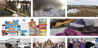 2018 top 10 web stories collage