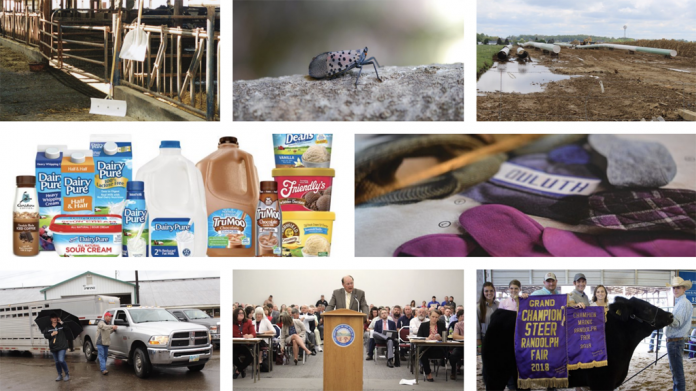 2018 top 10 web stories collage