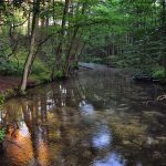 River fires: Healing the waters across the US river