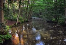 Allegheny County nature reserve expands to protect Ohio River river