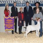2019 Pennsylvania Farm Show livestock sale