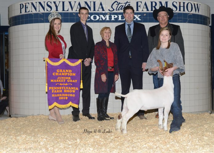 2019 Pennsylvania Farm Show livestock sale