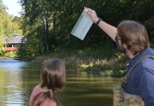 The only constant is change Action Lake study