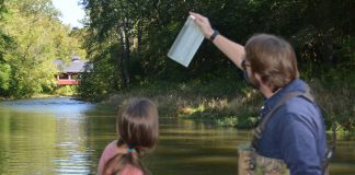 The only constant is change Action Lake study