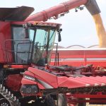 Market optimism is being put to the test corn dump