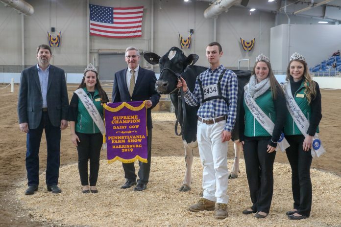 2019 Pennsylvania Farm Show supreme champion dairy cow 2019 Pennsylvania Farm Show supreme champion dairy cow