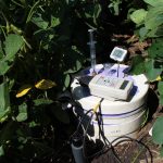 Manure proves beneficial as an organic fertilizer Manuren vs fertilizer