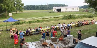 Farm to table dinner