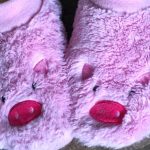 Dressing for carpool success Pig slippers
