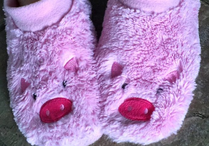 Pig slippers Pig slippers