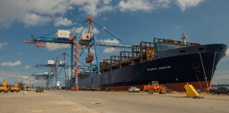 China’s buying binge goes on for now Port of Baltimore