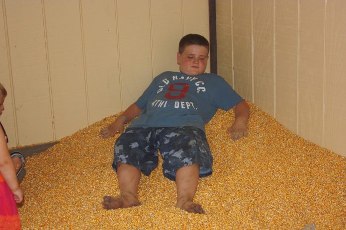 corn playpen