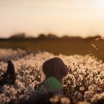 Springtime fever and imaginations child in a dandelion field