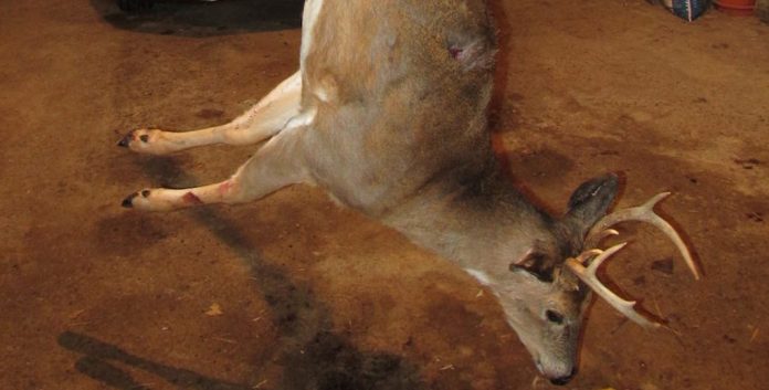 Chris Kick 2014 trophy deer