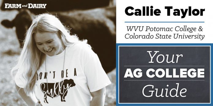 CallieTaylor_Twitter