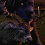 Darren Frantz — Jan. 13, 2015 Darren Frantz