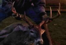 Darren Frantz — Jan. 13, 2015 Darren Frantz