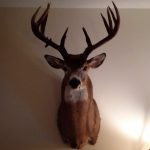 Lance Smith — Nov. 1, 2013 Lance Smith