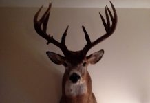 Lance Smith — Nov. 1, 2013 Lance Smith