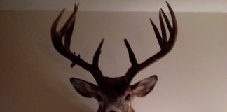 Lance Smith — Nov. 1, 2013 Lance Smith